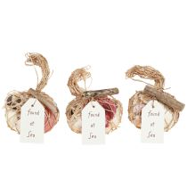 Product Maritime decorative shells mix in a net, colorful, 3.5-6 cm, 300 g × 3 pieces