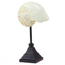 Maritime decorative sculpture snail shell with base 30.5cm
