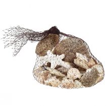 Product Maritime table decoration scattered decoration natural decoration natural white 400g
