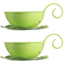 Product Metal decorative cup apple green with saucer H8cm Ø11.5cm 2pcs