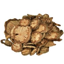 Product Mini wooden discs betel nut decoration with grain 1-4.5cm 300g