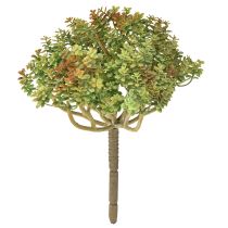 Product Mini succulent artificial green artificial plant with stem H23cm