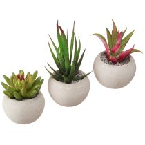 Product Mini Succulents in Pot Artificial Plants Decoration Ø6.5cm 6pcs