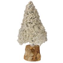 Product Mini Christmas tree table decoration champagne white H8cm 12 pcs
