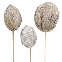Product Mintolla Ball on Stick Mix whitewashed 6 pcs