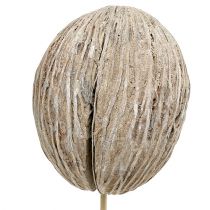 Product Mintolla Ball on Stick Mix whitewashed 6 pcs