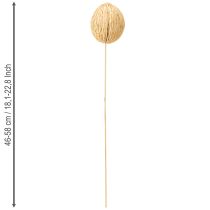 Product Mintolla ball bleached 8cm - 10cm L46cm 6 pcs