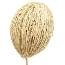Product Mintolla Ball bleached 8cm - 10cm L46cm 6 pcs