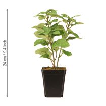 Product Mint in Pot Artificial Herbs Green Plant H24cm