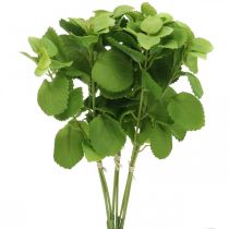 Product Artificial mint green, deco mint branches, silk flower L32cm 3pcs