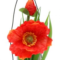 Product Orange poppy seeds in a glass H22cm