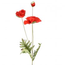 Product Poppy decoration garden flower with 3 flowers red L70cm