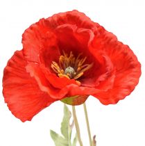 Product Poppy decoration garden flower with 3 flowers red L70cm
