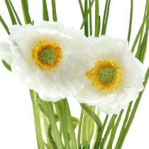 Product Poppy White in the grass 23cm