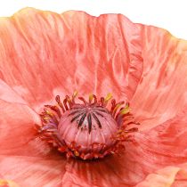 Product Poppy Artificial Artificial Flower in Orange Ø13cm 84cm