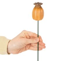 Product Garden stake poppy seed pod - decorative highlight for garden decoration and DIY projects - 41cm, 4 pieces