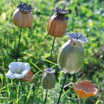 Product Poppy seed pod garden stake decorations for charming garden arrangements 60cm 2pcs