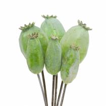 Poppy seed capsules artificial green 26cm / 28cm 6pcs