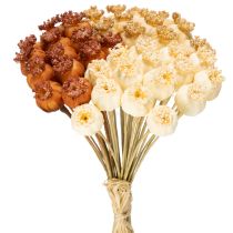 Product Artificial Poppy Seed Heads Bunch, Three Colors, 40 cm, 45 Pieces