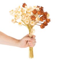 Product Artificial Poppy Seed Heads Bunch, Three Colors, 40 cm, 45 Pieces