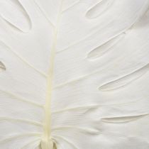 Product Monstera leaves bleached decorative window leaf H40cm 5 pcs
