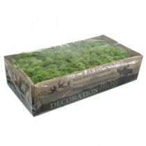 Product Moss Iceland moss green 400g