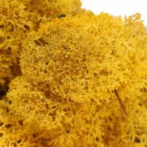 Product Reindeer Moss Yellow 400g