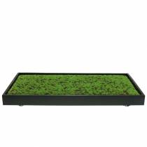 Product Mural moss in a green frame 60x30cm Wall decoration made of moss