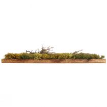 Product Moss picture Real moss preserved and branches natural 60×40cm
