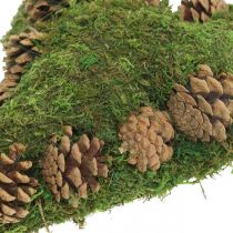 Grave decoration heart moss and cones arrangement base 30 × 19cm