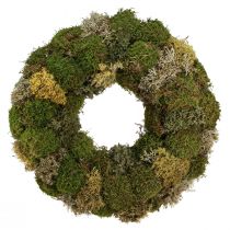 Product Moss wreath decorative wreath hedgehog moss and rag moss natural Ø42cm