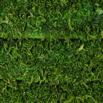 Product Decorative moss wreath for seasonal arrangements and individual design, 15cm, 6 pieces
