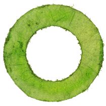 Product Moss wreath as a versatile base for creative floristry and decorating ideas, 20cm, 4 pieces