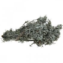 Product Deco twigs oak moss moss deco lichen natural decoration 750g
