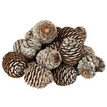 Product Murii Cones Natural 500g