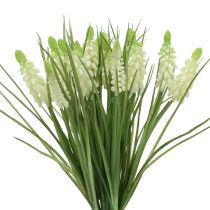 Product Bunch of grape hyacinths white 30cm 15p
