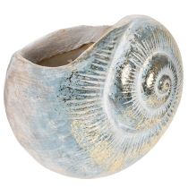 Product Decorative snail-shaped container for maritime and natural wall design, grey, 21cm