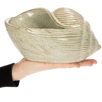 Product Ceramic bowl with seashell design for elegant decoration in the living room, 23cm