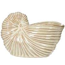 Product Ceramic flower pot with snail design for special plant arrangements, 21cm