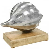 Product Shell made of metal, maritime decoration to place silver, natural colors H15cm W18.5cm