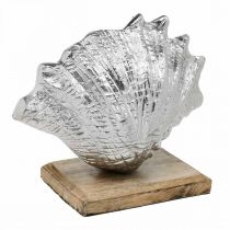 Product Shell to set up, maritime metal decoration with wooden base silver, natural 16 × 19cm