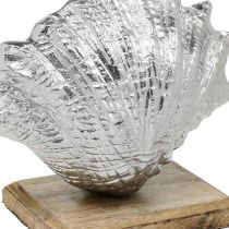 Product Shell to set up, maritime metal decoration with wooden base silver, natural 16 × 19cm