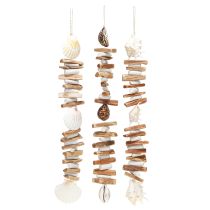 Product Shell garland sea snails summer decoration natural assorted 69cm 3pcs