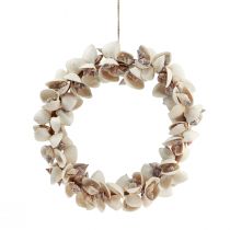 Shell wreath shell decoration hanging decoration maritime Ø33cm 60cm