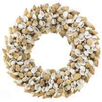 Product Shell wreath shells sea snails natural white Ø35cm