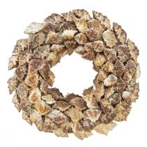 Product Shell wreath for hanging shell decoration brown coconut Ø24cm