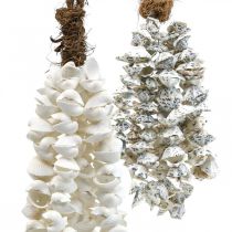 Shells shell necklace shell pendant deco maritime 2pcs