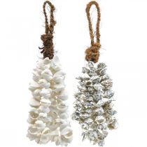 Shells shell necklace shell pendant deco maritime 2pcs