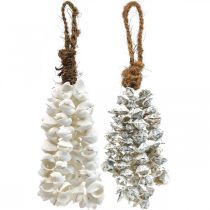 Product Shells shell necklace shell pendant deco maritime 2pcs