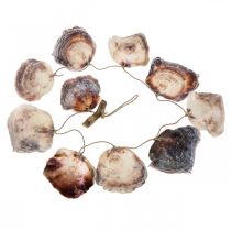 Product Shell garland Maritime decoration shell garland 150cm